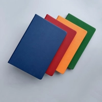 Ежедневник недатированный А5 MEGAPOLIS COLOR иск.кожа ОРАНЖЕВЫЙ 3-753/06