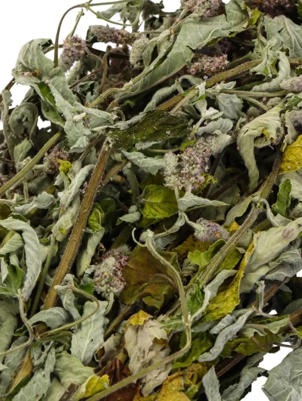 Веник для бани, мята, 45 (&plusmn; 5 см), &laquo;Добропаровъ&raquo;