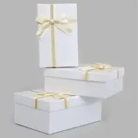 Набор подарочных коробок 3 в 1, прямоугольные 23&times;16&times;9.5 21&times;14&times;8.0 19&times;12&times;6.5 см