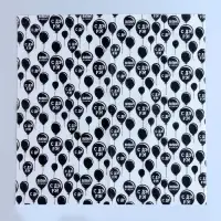 Салфетки бумажные &laquo;С днём рождения&raquo;, двухслойные, 33&times;33 см, набор 20 шт.