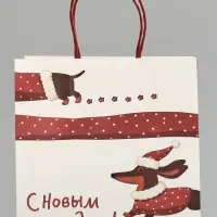 Пакет подарочный крафт &laquo;С Новым годом&raquo;, 22&times;22&times;11 см