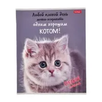 Тетрадь 40л А5ф кл 60-65г/кв.м на скобе Обл. мел.картон  серия -Кот говорит!- МИКС