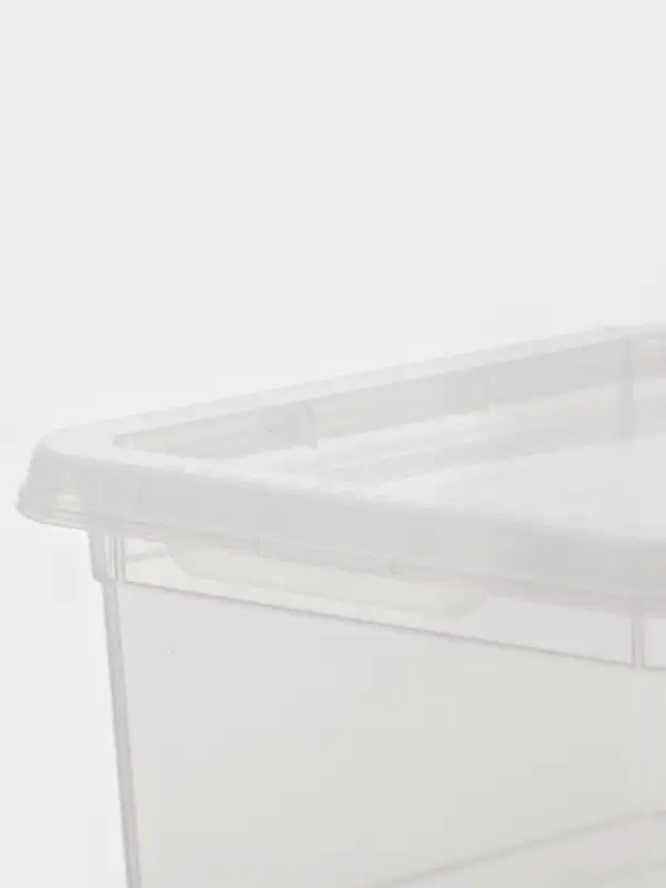 Контейнер для хранения Palm, 2 л, 19&times;15.3&times;9.8 см, с крышкой, прозрачный