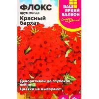 Семена цветов Флокс Друммонда &laquo;Красный Бархат&raquo;, 0.05 г, &laquo;Семена Алтая&raquo;