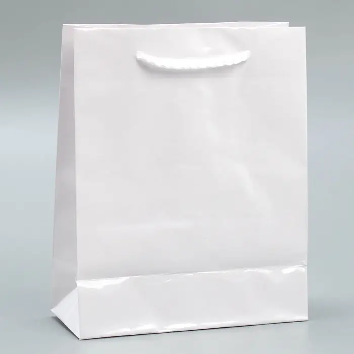 Пакет подарочный ламинированный, упаковка, «Белый», S 12 х 15 х 5.5 см
