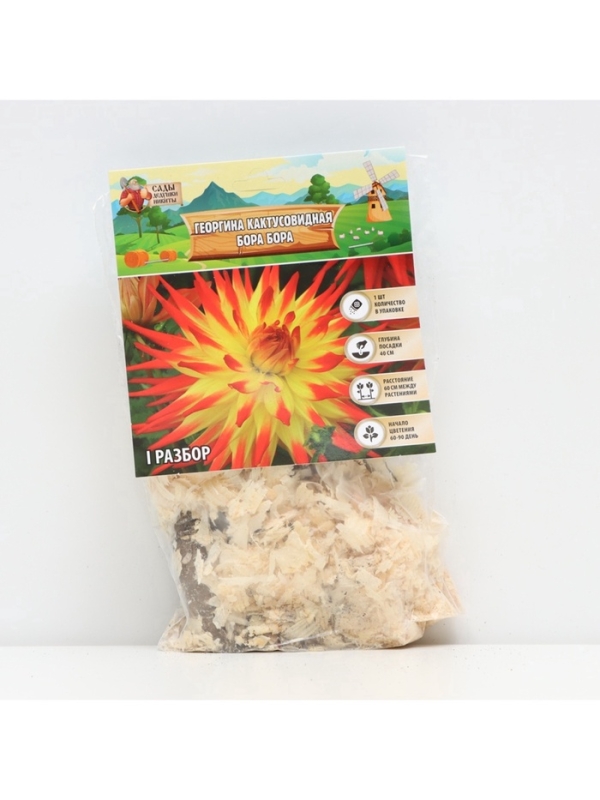 Георгина Кактусовидная BORA BORA, клубелуковица в упаковке, р-р I, 1 шт.