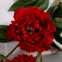 Цветы искусственные &laquo;Пион Беверли люкс&raquo;, h=60 см, красные