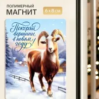 Магнит новогодний, полимерный &laquo;Покоряй вершины&raquo;, 6&times;8 см