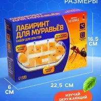 Набор для опытов &laquo;Лабиринт для муравьёв&raquo;