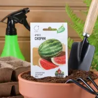 Семена Арбуз "Скорик", ц/п,  1 г  серия ХИТ х3 Семена Арбуз "Скорик", ц/п,  1 г  серия ХИТ х3