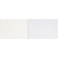 Альбом для акрила А4 10л 400г/м Сонет на спирали DK19042