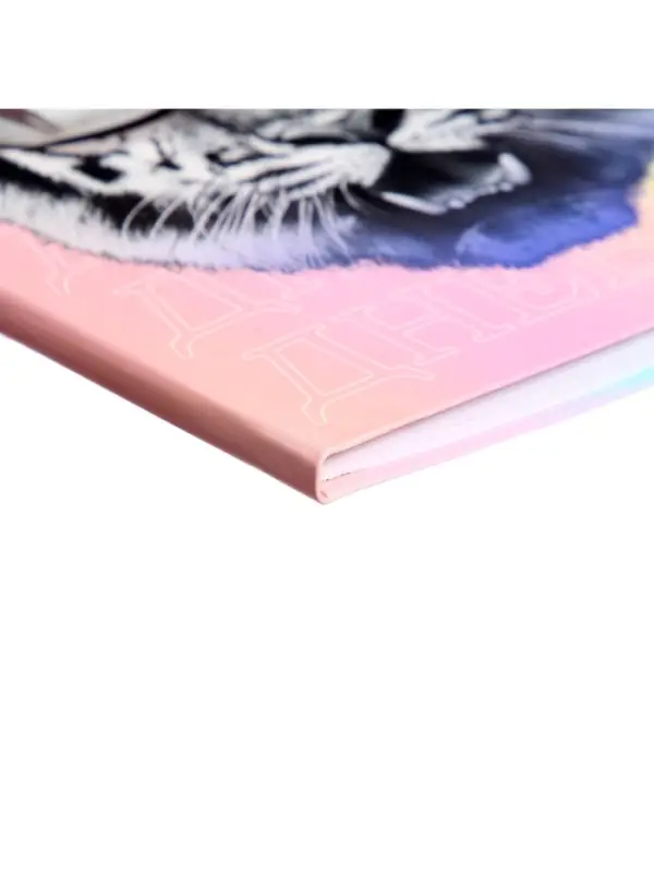 Дневник школьный для 5-11 классов, &laquo;Тиг в очках&raquo;, интегральная (гибкая) обложка, матовая ламинация, выборочный лак, 48 листов