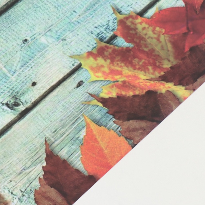 Фотофон двусторонний картон плотность 350 гр Фотофон двусторонний картон плотность 350 гр "Осенние листья" 50х50 см
