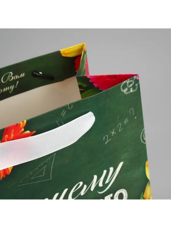 Пакет подарочный ламинированный, упаковка, «Лучшему Учителю», MS 18 х 23 х 10 см Пакет подарочный ламинированный, упаковка, «Лучшему Учителю», MS 18 х 23 х 10 см