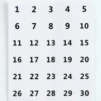 Алмазная мозаика с полным заполнением на холсте &laquo;Тропические птицы&raquo;, 40&times;50 см