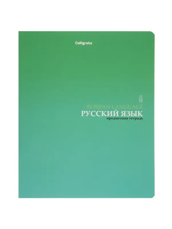 Комплект 12 предметных тетрадей &laquo;Градиент&raquo;, 48 листов, справочная информация, 60 г