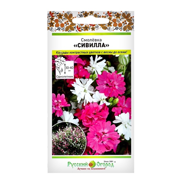 Цветы Смолевка Сивилла (10шт) Цветы Смолевка Сивилла (10шт)