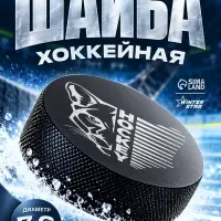Шайба хоккейная Winter Star, взрослая, d=7.6 см