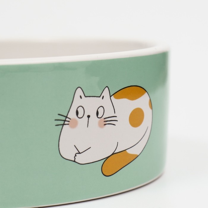 Миска керамическая  Миска керамическая "Котяры" 300 мл  12,5 x 4,5 cм, бело-зелёная