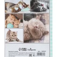 Дневник универсальный для 1-11 классов, &laquo;Котята&raquo;, твердая обложка 7БЦ, глянцевая ламинация, 40 листов