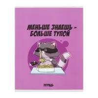 Тетради 5 штук, 48 листов в клетку Calligrata &laquo;Дерзкий енот&raquo;, обложка мелованный картон, блок офсет