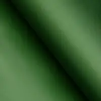 Пленка для цветов, двусторонняя, зелёная, 0.6&times;10 м