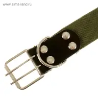 Ошейник брезентовый однослойный, 84&times;4.5 см, ОШ 50-70 см, хаки