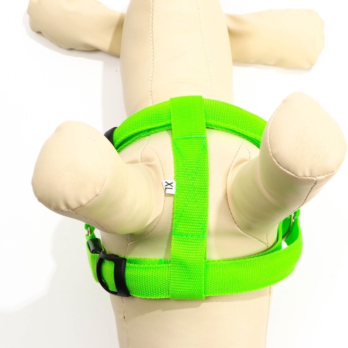 Шлейка светящаяся размер XL, стропа 2,5 см, ОГ 60-70 см, 3 режима свечения зелёная Шлейка светящаяся размер XL, стропа 2,5 см, ОГ 60-70 см, 3 режима свечения зелёная