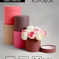 Набор шляпных подарочных коробок 5 в 1&laquo; Кофейный&raquo;, 23&times;23 - 14&times;14 см