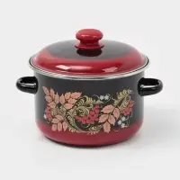 Кастрюля эмалированная &laquo;Рябинушка&raquo;, 4 л, d=22 см, с крышкой, индукция, чёрная, красная