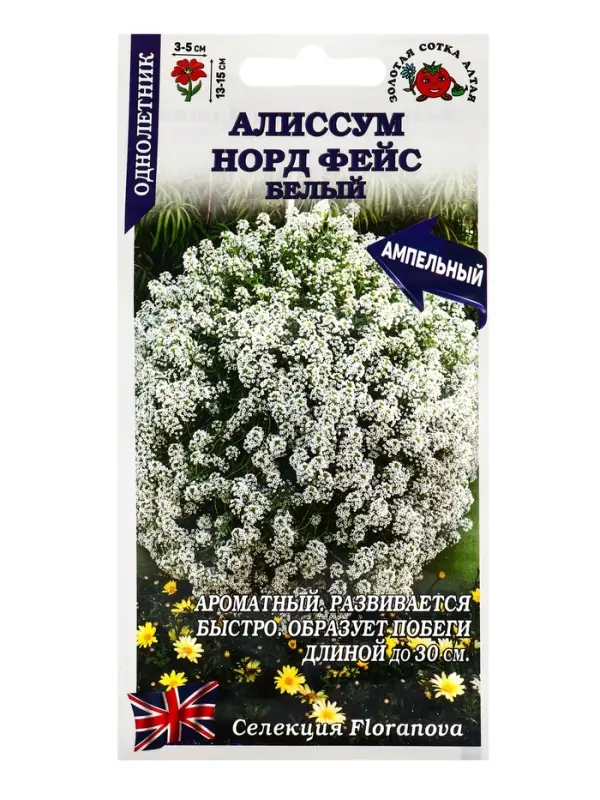 Семена Алиссум Норд фейс белый /Сотка/ 0,01г/*1800 Семена Алиссум Норд фейс белый /Сотка/ 0,01г/*1800