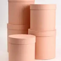 Набор круглых коробок 5 в 1 &laquo;Краски&raquo;, персиковый, 25&times;25&times;25 - 19&times;19&times;19 см