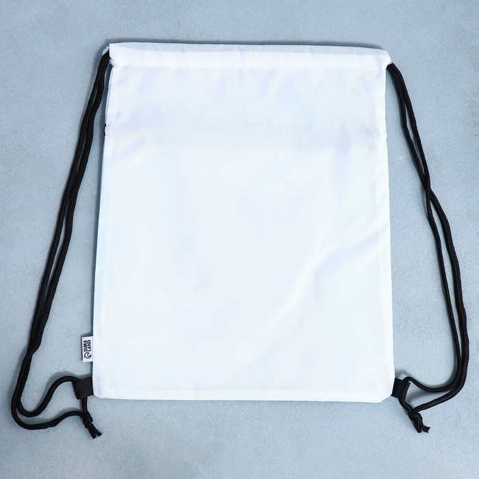 Мешок для обуви «Милый котик» 2 секции, 30×40 см Мешок для обуви «Милый котик» 2 секции, 30×40 см