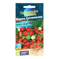 Семена Земляника &laquo;Барон Солемахер&raquo;, ремонтантная, 0.03 г, &laquo;Семена Алтая&raquo;