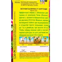 Семена цветов Петуния Балерина бургунди крупноцветковая F1 (драже) С. Farao, Ц/П,7 шт. Семена цветов Петуния Балерина бургунди крупноцветковая F1 (драже) С. Farao, Ц/П,7 шт.