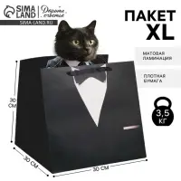 Пакет подарочный квадратный, упаковка, &laquo;Костюм&raquo;, 30&times;30&times;30 см