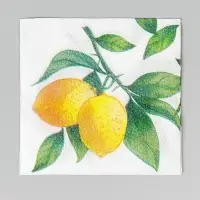 Салфетки бумажные однослойные &laquo;Лимон&raquo;, 24&times;24, 40 шт.