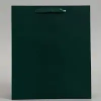 Пакет подарочный ламинированный, упаковка, &laquo;Изумрудный&raquo;, M 26&times;30&times;9 см