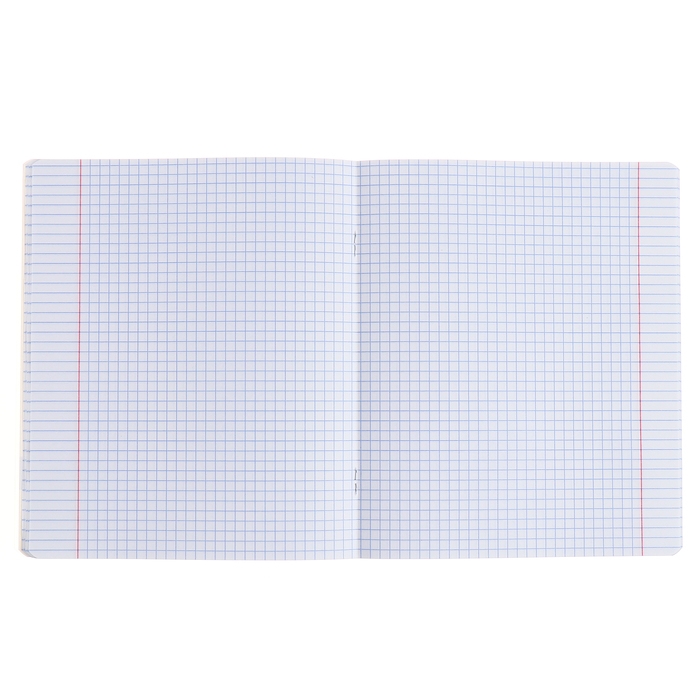 Тетрадь предметная ИСТОРИЯ, 48 листов в клетку, ErichKrause Be Informed, пластиковая обложка, шелкография, блок офсет 100% белизна, инфо-блок Тетрадь предметная ИСТОРИЯ, 48 листов в клетку, ErichKrause Be Informed, пластиковая обложка, шелкография, блок офсет 100% белизна, инфо-блок