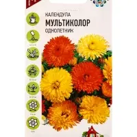 Семена цветов Календула Мультиколор смесь 0,3 г Уд. с.