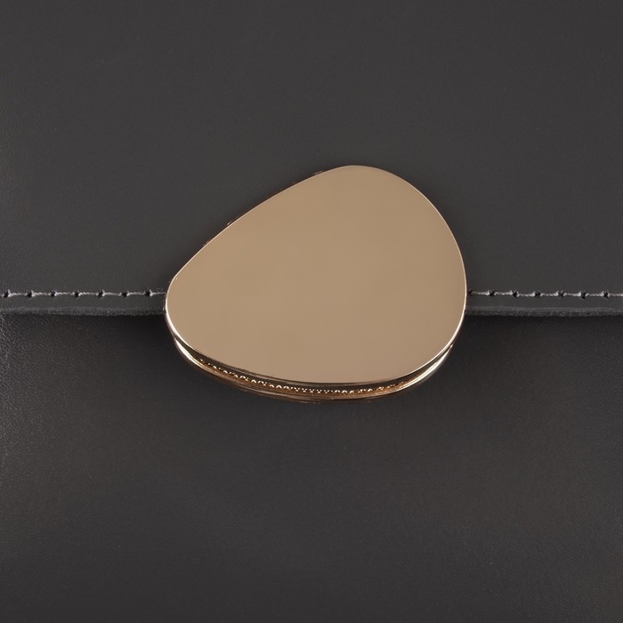 Застёжка для сумки, 4,8 × 3,5 см, цвет золотой Застёжка для сумки, 4,8 × 3,5 см, цвет золотой