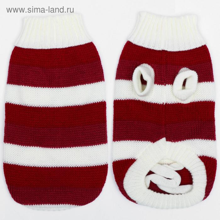 Свитер, размер 10 (ДС 30-45, ОШ 16-31, ОГ 30-45 см), микс расцветок Свитер, размер 10 (ДС 30-45, ОШ 16-31, ОГ 30-45 см), микс расцветок