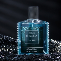 Туалетная вода мужская Ocean di Aqua, 100 мл (по мотивам Acqua Di Gio (G.Armani)