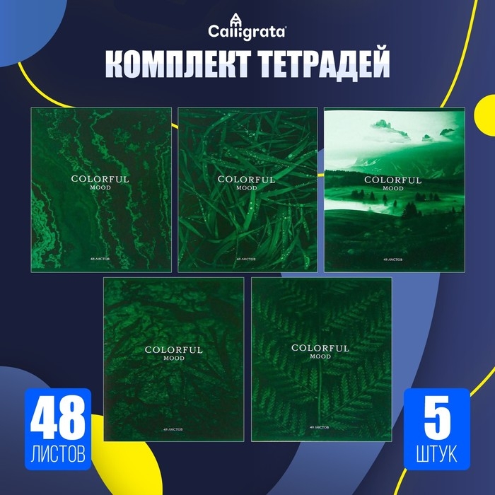 Набор тетрадей, 48 листов в клетку, Calligrata &laquo;Изумруд&raquo;, серые листы, 5 штук