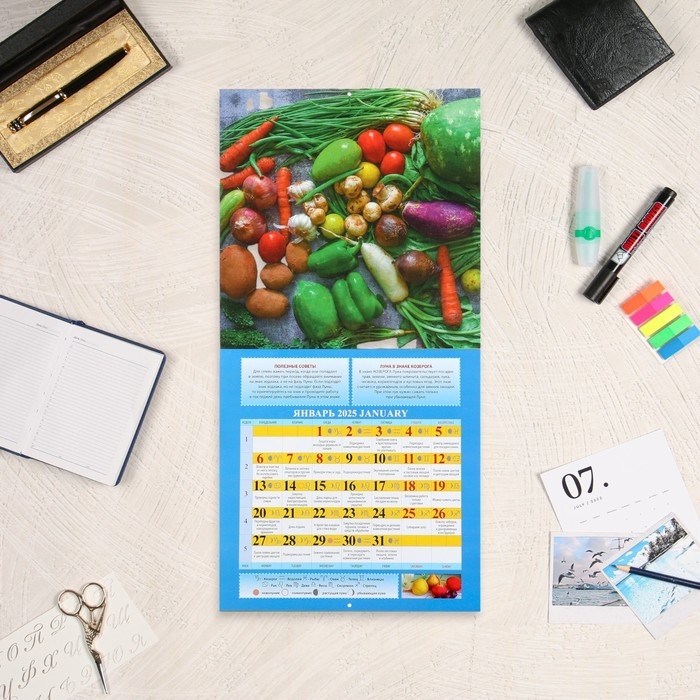 Календарь перекидной на скрепке Календарь перекидной на скрепке "Садово - огородный. Лунный календарь" 2025 год, 12 листов,