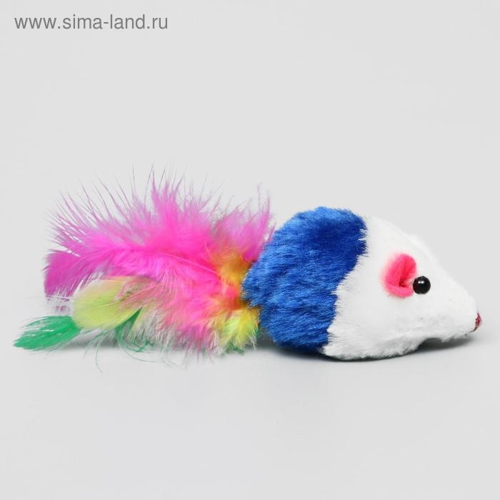 Набор игрушек для кошек: мышь 5 см и игрушка с бубенчиком  Набор игрушек для кошек: мышь 5 см и игрушка с бубенчиком "Амфитеатр" 6,8х4 см, микс цветов