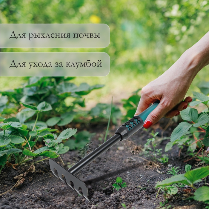 Грабли малые, прямые, 5 зубцов, длина 40,5 см, металл, металлическая рукоять с резиновой ручкой, Greengo Грабли малые, прямые, 5 зубцов, длина 40,5 см, металл, металлическая рукоять с резиновой ручкой, Greengo