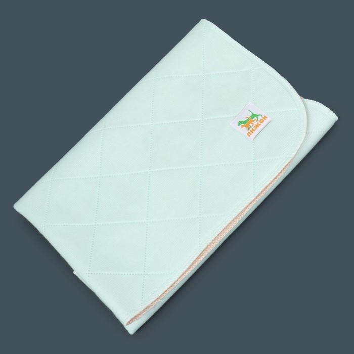 Пелёнка для животных многоразовая впитывающая, 70 х 60 см, мятная Пелёнка для животных многоразовая впитывающая, 70 х 60 см, мятная