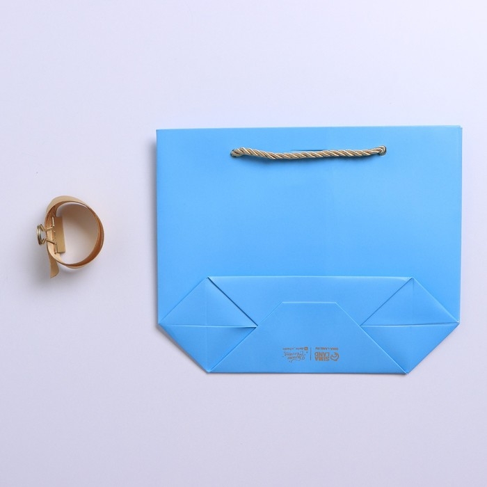 Пакет подарочный, упаковка, «Сюрприз», 14 х 17 х 7 см Пакет подарочный, упаковка, «Сюрприз», 14 х 17 х 7 см