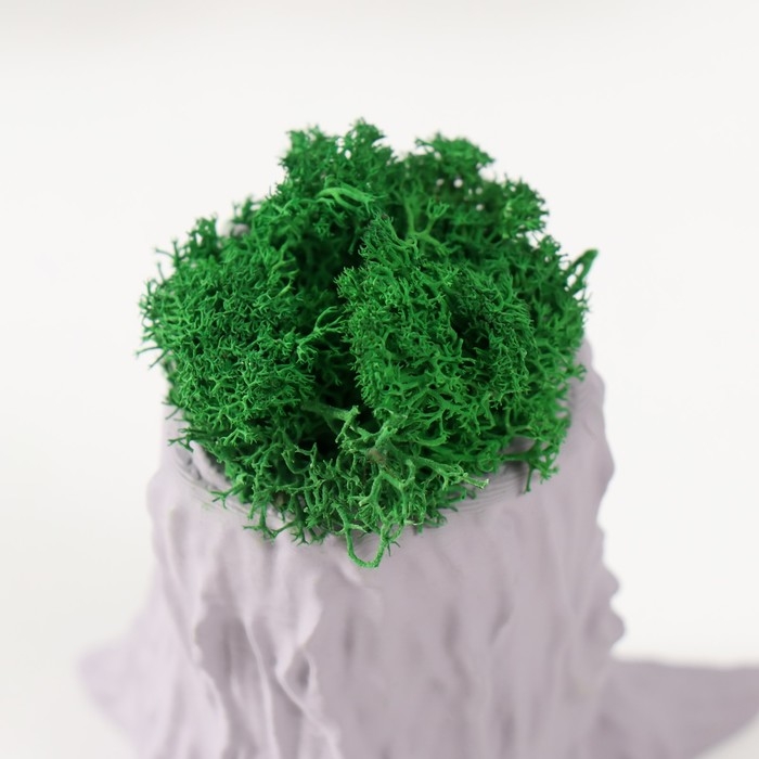 Кашпо бетонное Кашпо бетонное "Пенек" 7,5х8,5х7 см серый со мхом (мох зеленый стабилизированный)